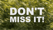 Important news, don’t miss yxpcars